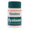 customer-ed-supp-Cystone customer-ed-supp-Cystone